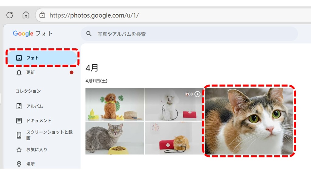 Googleフォトの写真選択