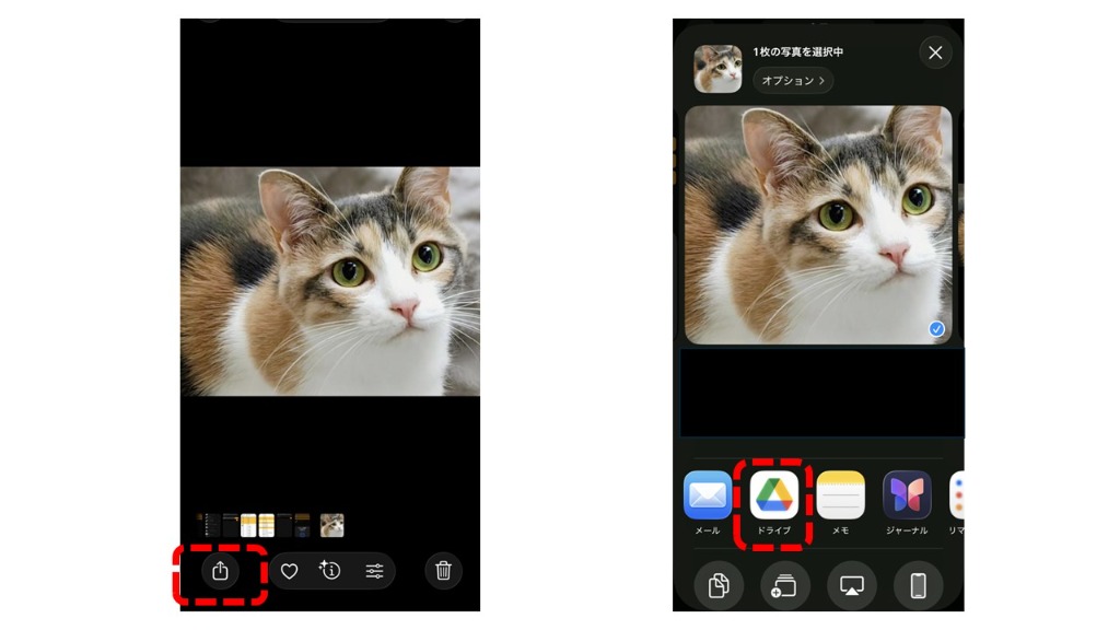 写真をアップロード